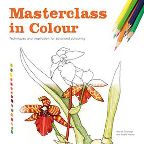 Masterclass in Colour: A Colouring Workbook
