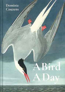 A Bird a Day