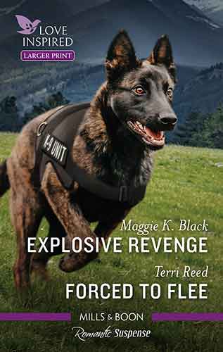 Explosive Revenge/Forced to Flee