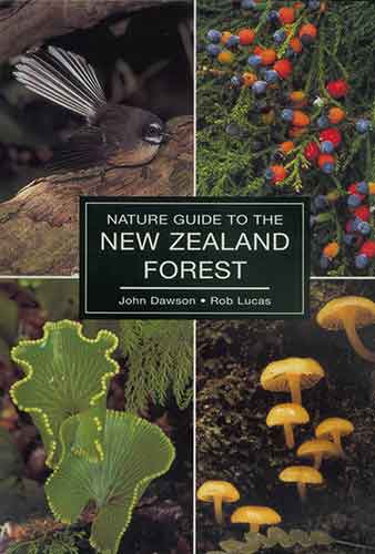 Nature Guide To The New Zealand Forest