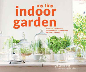 My Tiny Indoor Garden: Houseplant Havens in Small Spaces