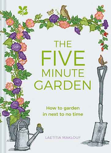 The 5 Minute Garden