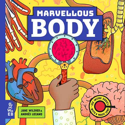 Marvellous Body