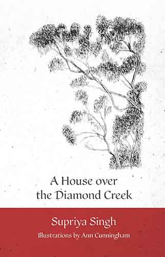 House Over Diamond Creek: A Whimsical Journey through Gardens and Life