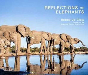 Reflections of Elephants