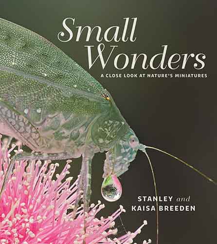 Small Wonders