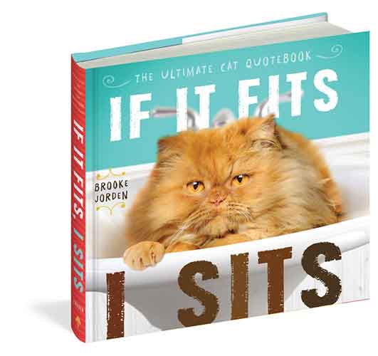 If It Fits, I Sits: The Ultimate Cat Quote Book