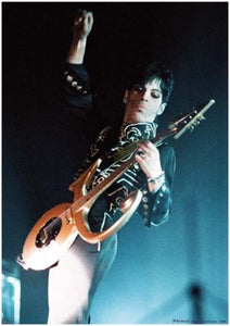 Prince - Birmingham NEC 2005 Poster