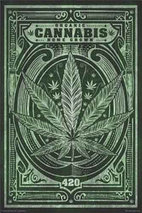 Organic Cannabis - Home Grown Poster