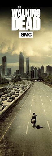 The Walking Dead - City Door  Poster