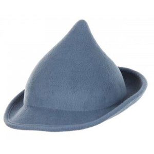 Harry Potter - Fleur Delacour Hat Replica (Adult One Size)