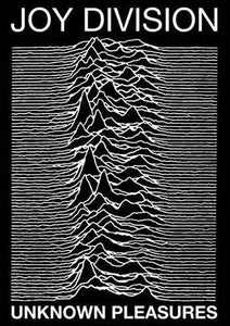 Joy Division - Unknown Pleasures Poster