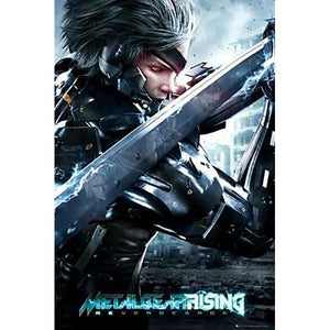 Metalgear Rising: Revengeance Cover Poster