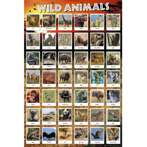 Wild Animals Chart Poster