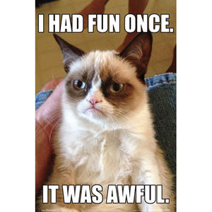 Grumpy Cat Poster