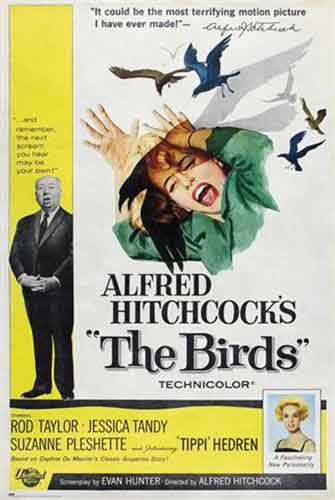 Alfred Hitchcock - The Birds Poster