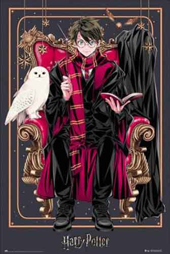 Harry Potter: Wizard Dynasty - Harry Poster
