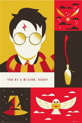 Harry Potter - Warner Bros 100th Anniversary Poster