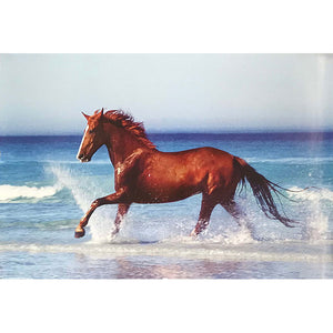 Brown Horse at the Beach Poster