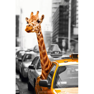 New York City Taxi Cab - Giraffe Poster