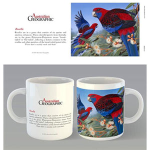 Australian Geographic - Rosella