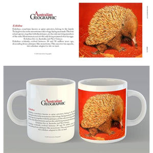 Australian Geographic - Echidna