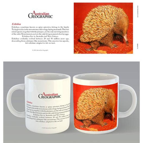 Australian Geographic - Echidna