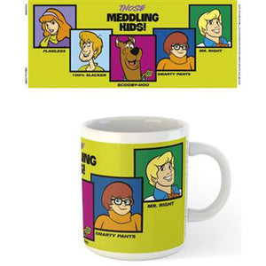 Scooby Doo - Meddling Kids Mug