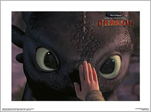 How To Train Your Dragon - Touch 30 x 40cm Art Print