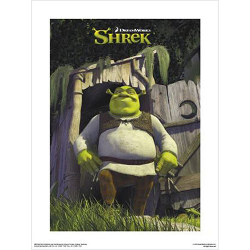 Shrek - Toilet 30 x 40cm Art Print