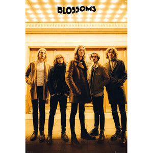 Blossoms - Band Poster