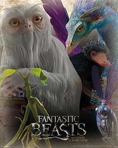 Fantastic Beasts - Magical Creatures Mini Poster