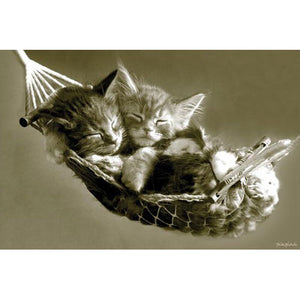 Keith Kimberlin - Kitten In Hammock Poster