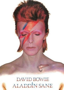 David Bowie - Aladdin Sane Poster