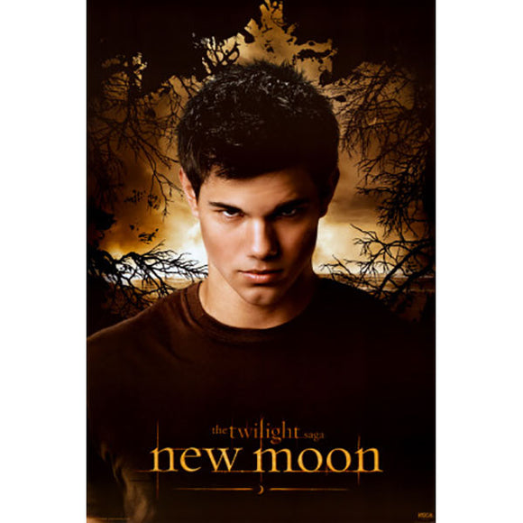 Twilight: New Moon - Jacob Poster
