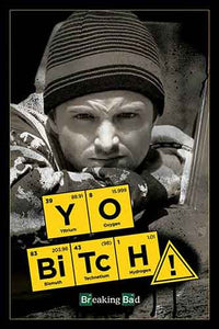 Breaking Bad - Yo Bitch! Poster