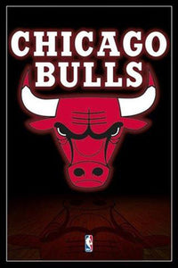 NBA: Chicago Bulls - Logo Poster