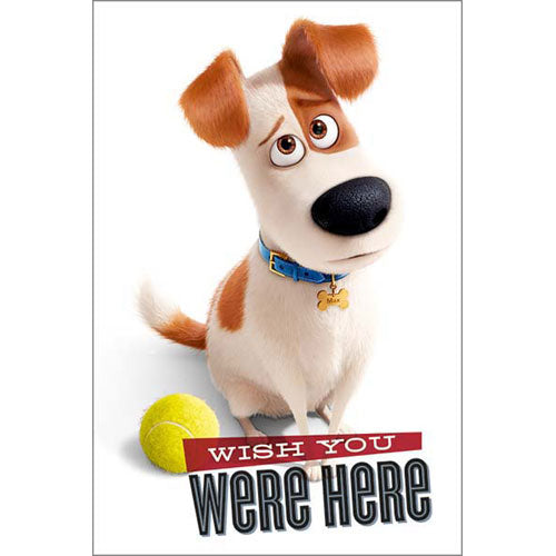 The Secret Life Of Pets - Wish You Were Here Poster