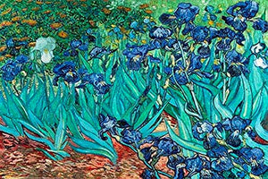 Vincent Van Gogh - Les Irises Poster