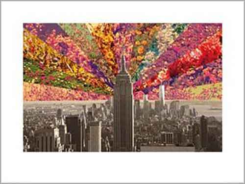 Bianca Green - Flowers Of New York 60 x 80cm Art Print