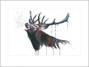 Sarah Stokes - Roar 60 x 80cm Art Print
