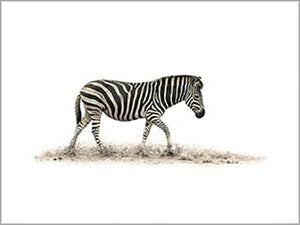 Mario Moreno - The Zebra 60 x 80cm Art Print