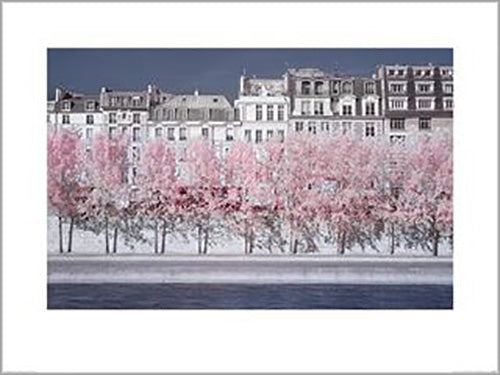 David Clapp - River Seine Infrared, Paris 60 x 80cm Art Print