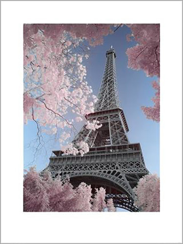 David Clapp - Eiffel Tower Infrared, Paris 60 x 80cm Art Print