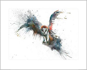 Sarah Stokes - Eric In Flight 40 x 50cm Art Print