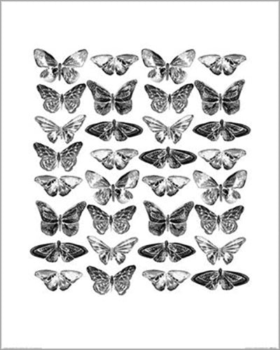 Sofie Rolfsdotter - Butterflies 40 x 50cm Art Print