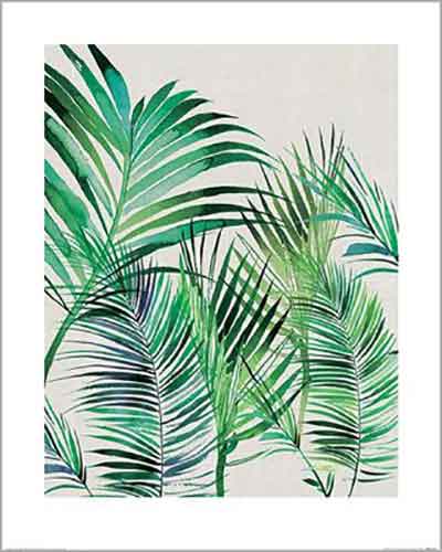 Summer Thornton - Palm Leaves 40 x 50cm Art Print