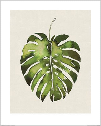 Summer Thornton - Tropical Leaf I 40 x 50cm Art Print