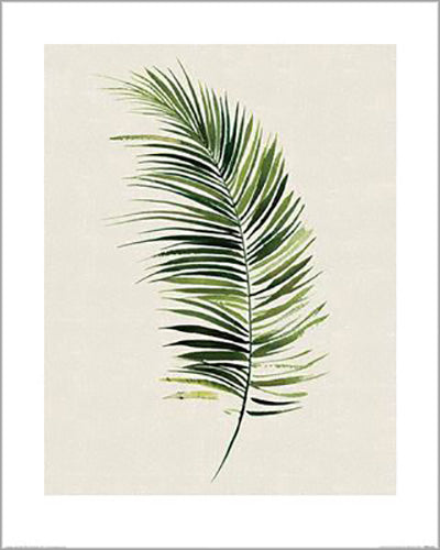 Summer Thornton - Tropical Leaf II 40 x 50cm Art Print