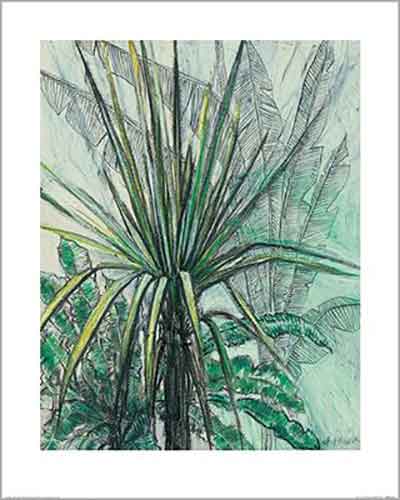 Shyama Ruffell - Yucca 40 x 50cm Art Print